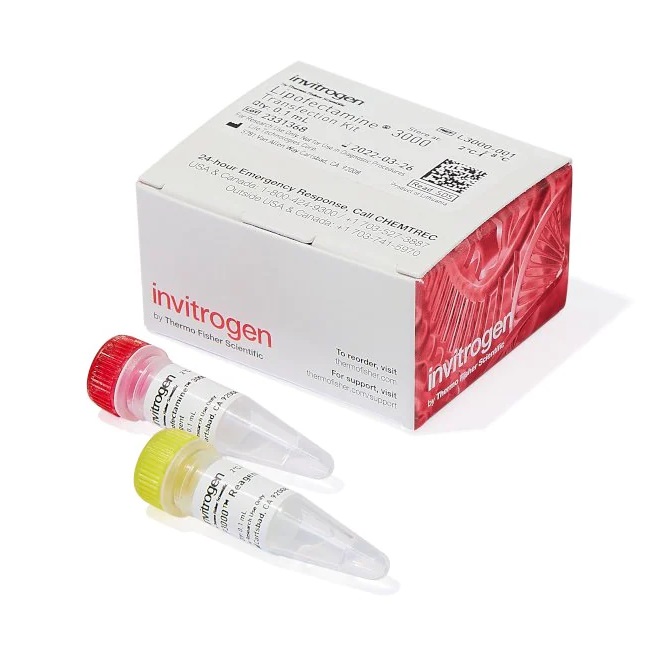Invitrogen™ Lipofectamine™ 3000 Transfection Reagent, 0.1 mL
