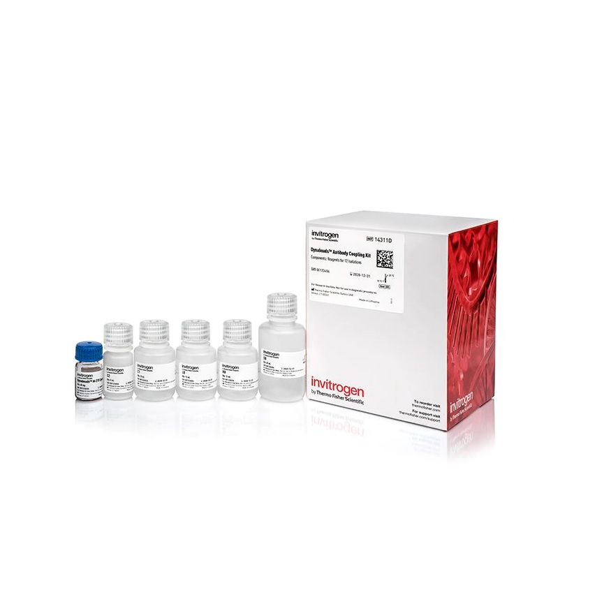 Invitrogen™ Dynabeads™ Antibody Coupling Kit