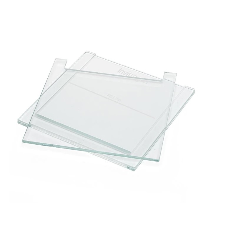 Invitrogen™ SureCast™ Glass Plates