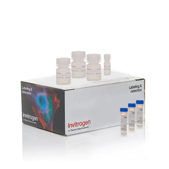 Invitrogen™ Click-iT™ EdU Cell Proliferation Kit for Imaging, Alexa Fluor™ 647 dye