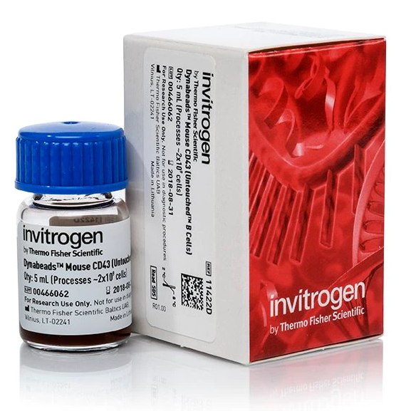 Invitrogen™ Dynabeads™ Mouse CD43 (Untouched™ B Cells)