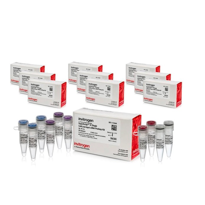 Invitrogen™ SuperScript™ IV Single Cell/Low Input cDNA PreAmp Kit, 384 Reactions