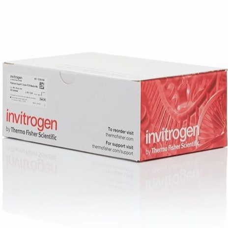 Invitrogen™ eBioscience™ Mouse Regulatory T Cell Staining Kit #3