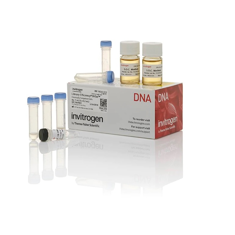 Invitrogen™ Library Efficiency™ DH5α Competent Cells