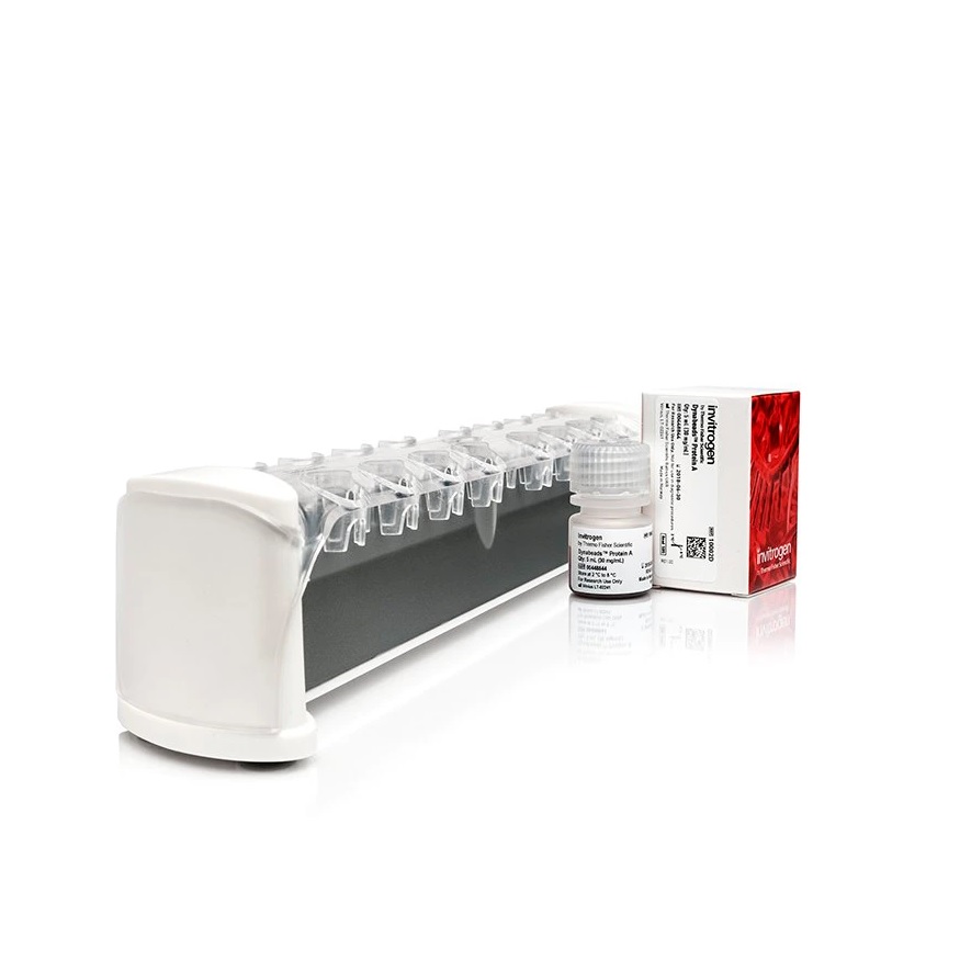 | Products | Thermo Scientific™ Pierce™ Quant Kit, Reactions