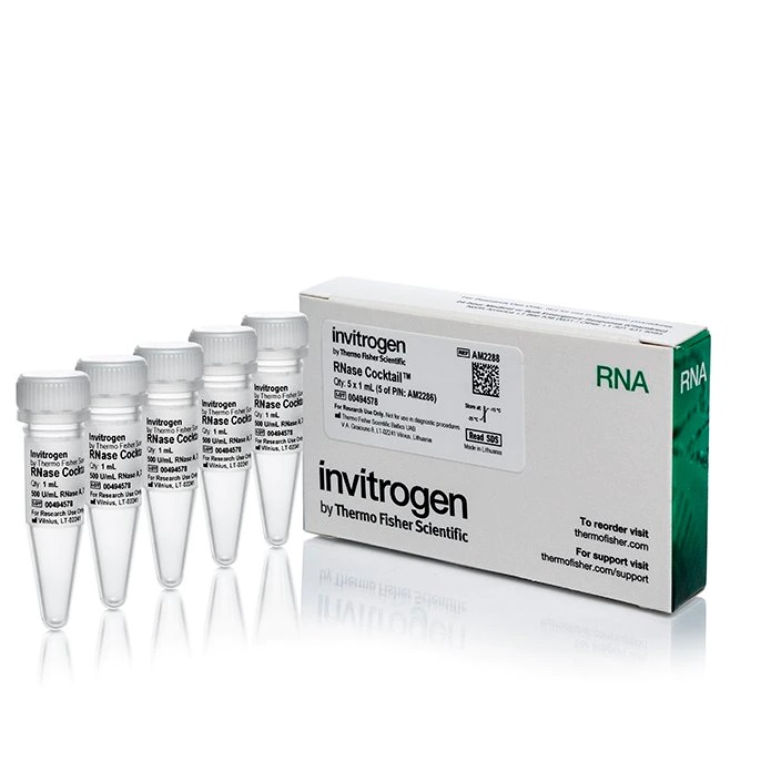 Invitrogen™ RNase Cocktail™ Enzyme Mix, 5 x 1 mL