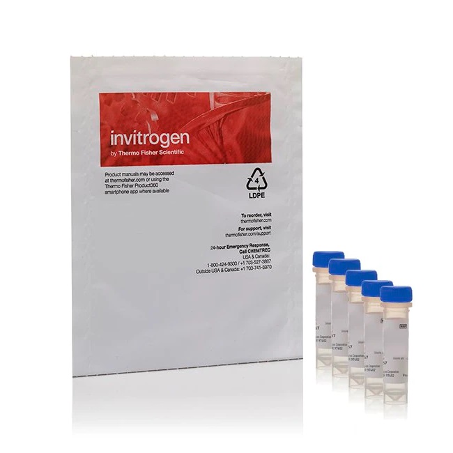 Invitrogen™ pHrodo™ Red E. coli BioParticles™ Conjugate for Phagocytosis