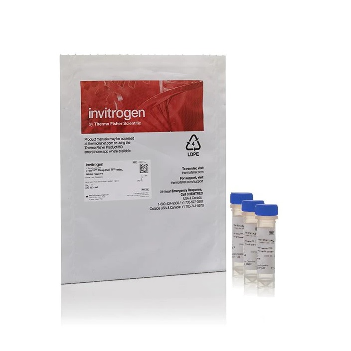 Invitrogen™ pHrodo™ Dyes for Amine Labeling, Deep Red, 3 x 100 μg