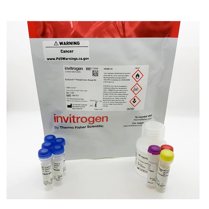 Invitrogen™ EnzChek™ Phosphatase Assay Kit