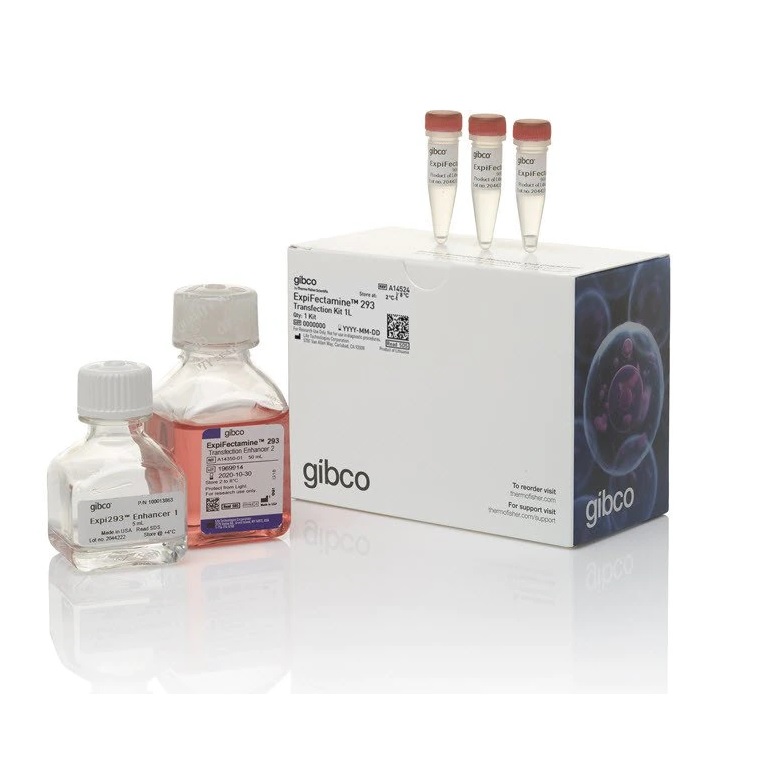 Gibco™ ExpiFectamine™ 293 Transfection Kit, for 1 L culture