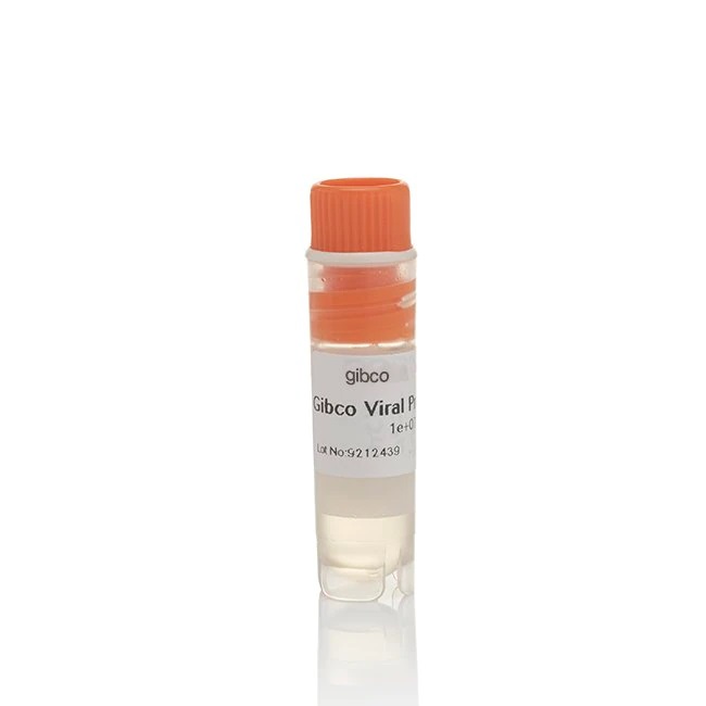 Gibco™ Viral Production Cells, 6 x 1 mL