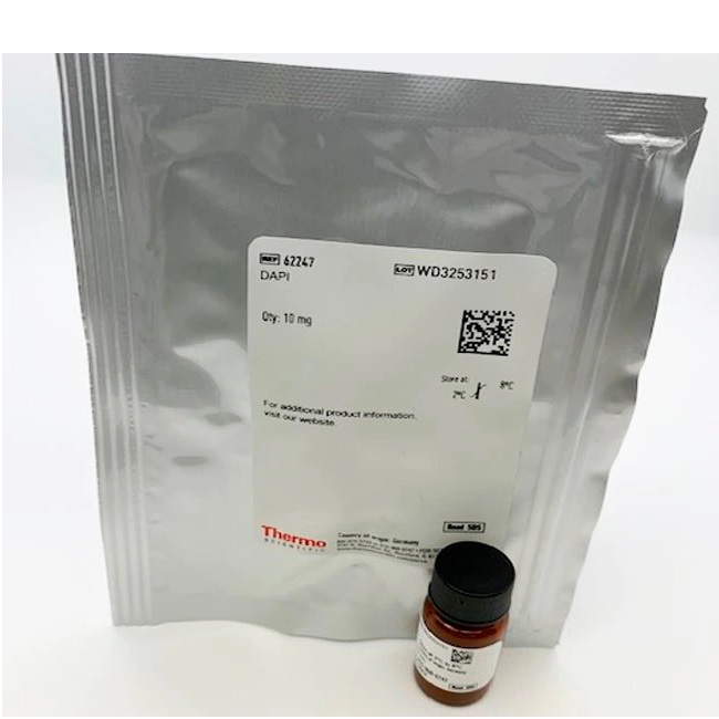 Thermo Scientific™ DAPI (4',6-diamidino-2-phenylindole, dihydrochloride)