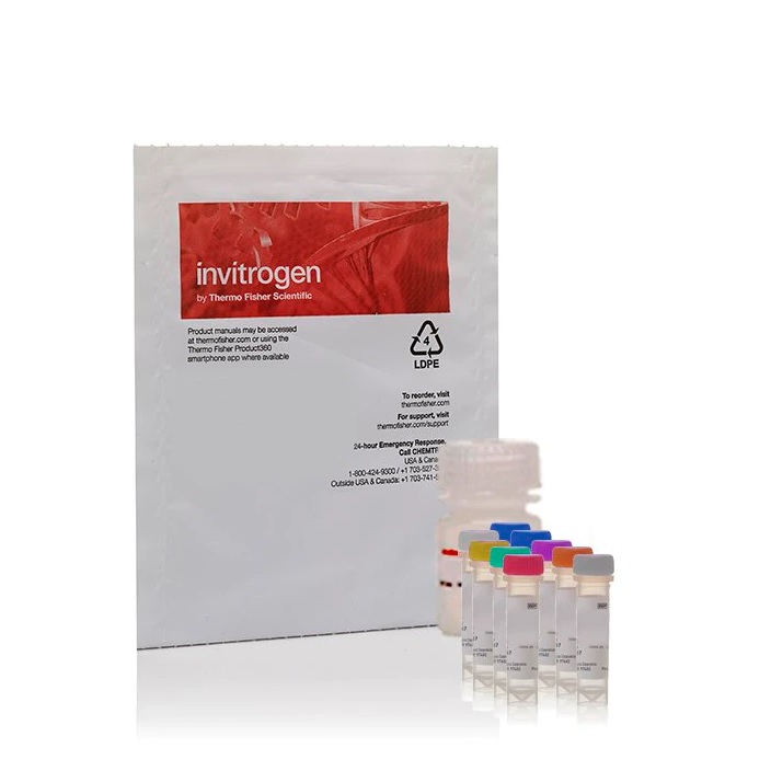 Invitrogen™ Amplex™ Red Cholesterol Assay Kit