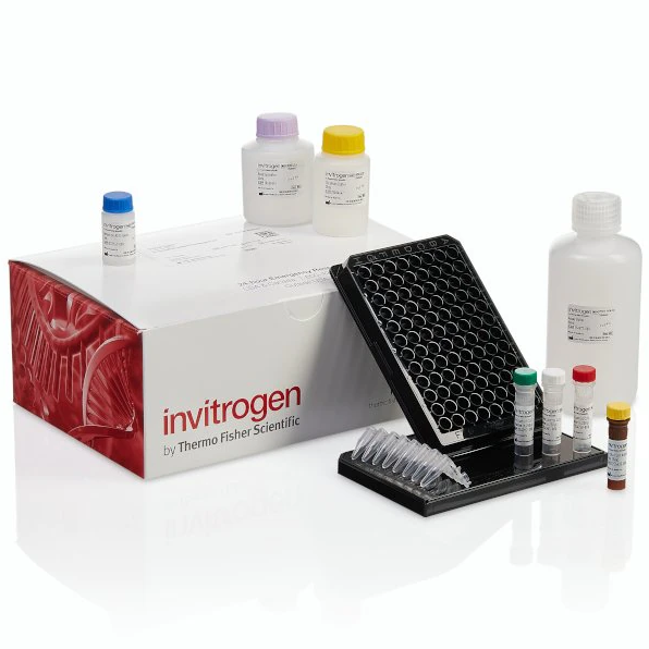 Invitrogen™ ProcartaPlex™ Human Viral Reagent Kit