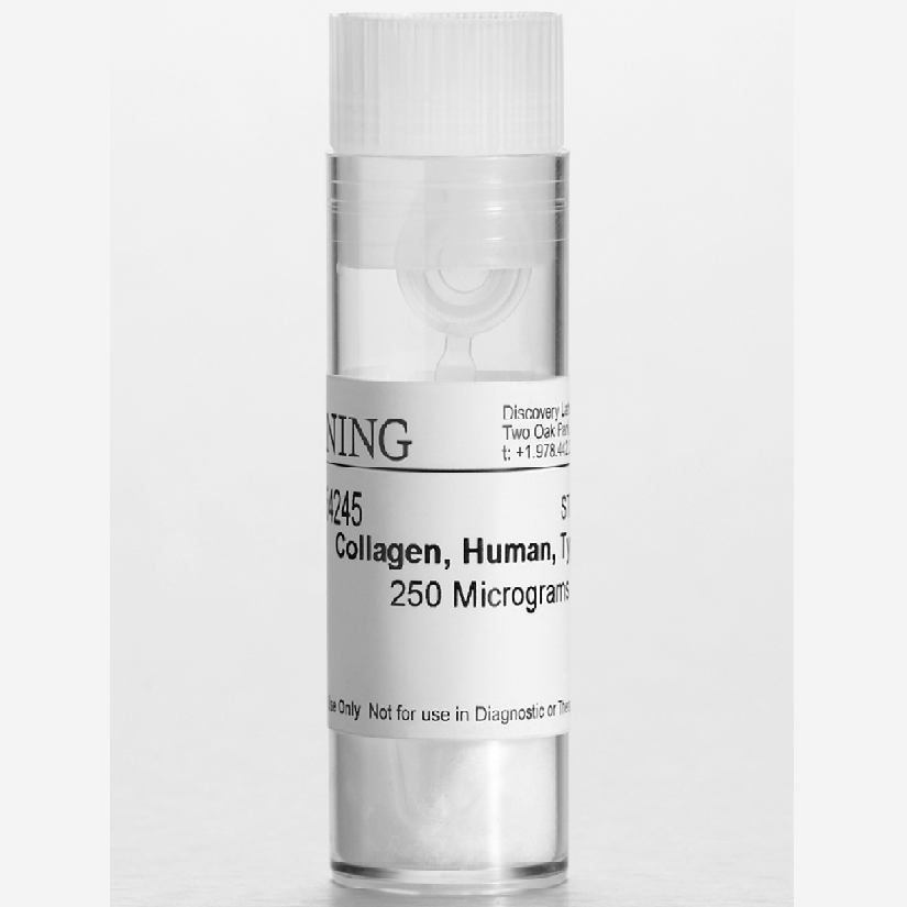 Corning® 0.25 mg Collagen IV, Human