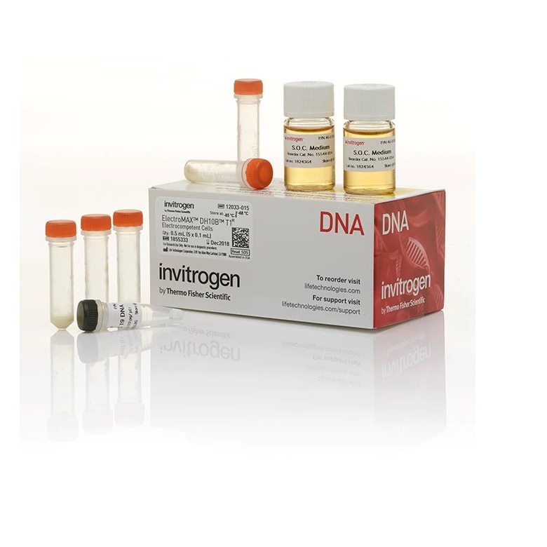 Invitrogen™ ElectroMAX™ DH10B T1 Phage-Resistant Competent Cells