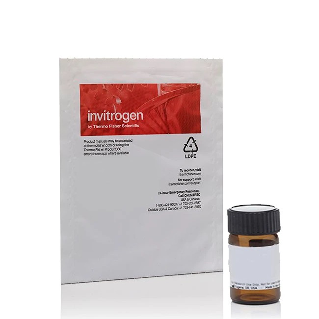 Invitrogen™ Dil Stain (1,1'-Dioctadecyl-3,3,3',3'-Tetramethylindocarbocyanine Perchlorate ('DiI'; DiIC18(3))), 25 mg