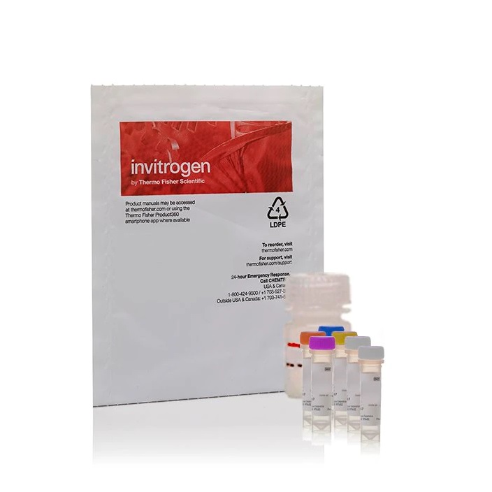 Invitrogen™ EnzChek™ Phospholipase A1 Assay Kit