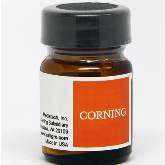 Corning® 1 g rhAlbumin