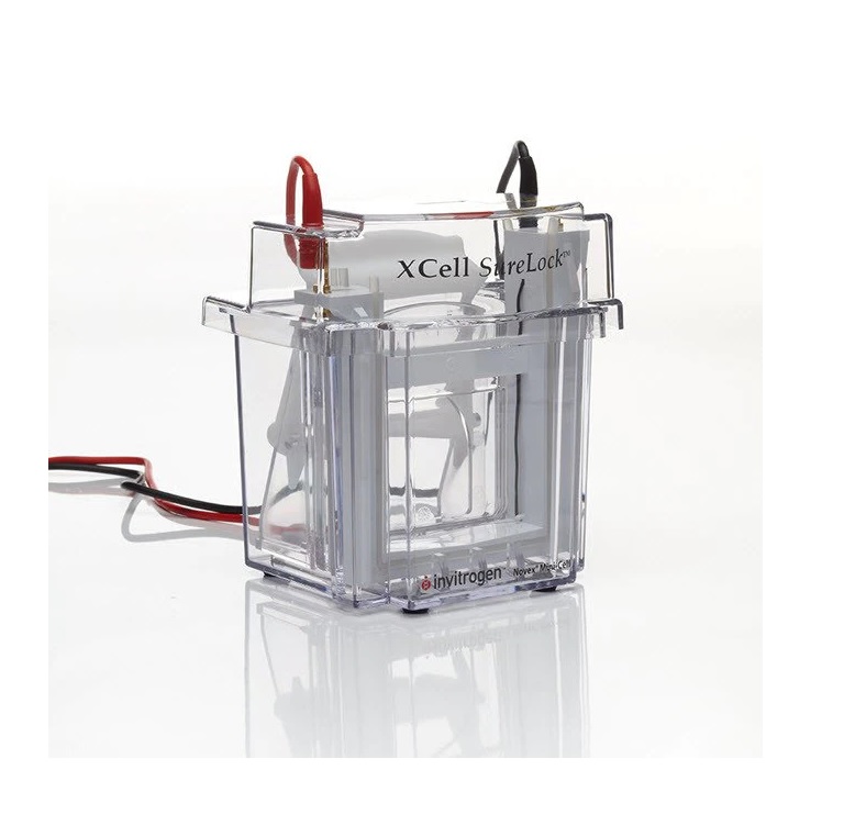 Invitrogen™ Platinum Wire for the XCell SureLock™ apparatus (12 inch x 2)