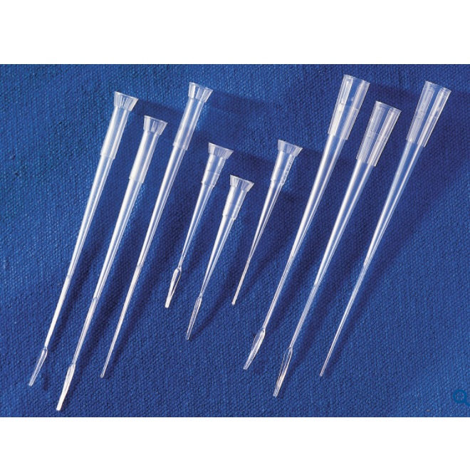 Corning® 1-200 µL Flat 0.4 mm Thick Gel-Loading Pipet Tips, Natural, Nonsterile