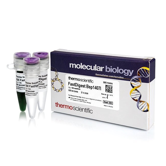 Thermo Scientific™ FastDigest Bsp1407I, 100 reactions