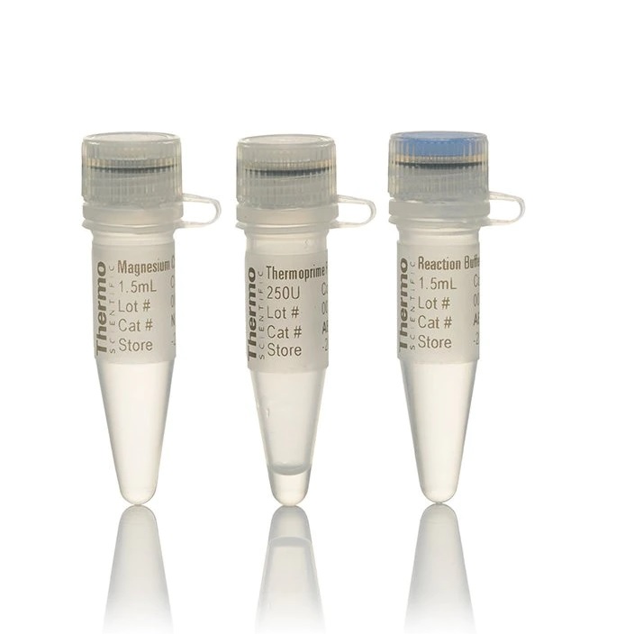 Thermo Scientific™ ThermoPrime Taq DNA Polymerase, with 10x buffer and separate vial of 25 mM MgCl2