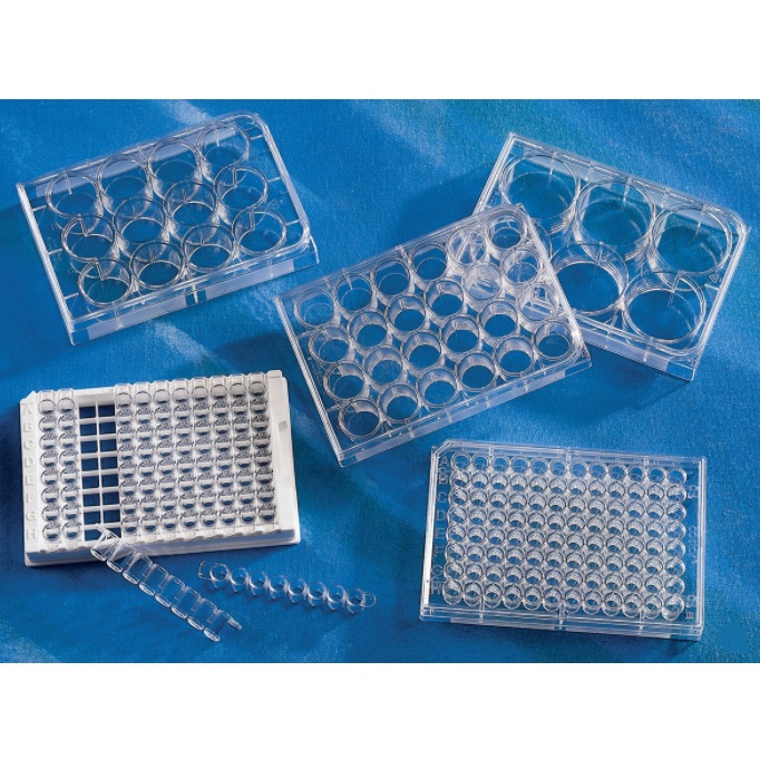Corning® 96-well Clear Flat Bottom Polystyrene TC-treated Microplates (1 x 8 Stripwell™), Individually Wrapped, with Lid, Sterile