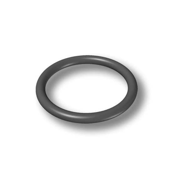 BRAND™ O-ring For Nose Cones For Transferpette® S and Transferpette® Eelectronic, 5-50, 10-100, 20-200 and 30-300 µl, Multi Channel
