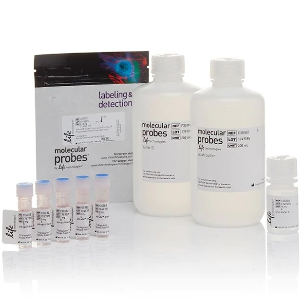 Invitrogen™ pHrodo™ Green S. aureus BioParticles™ Phagocytosis Kit for Flow Cytometry