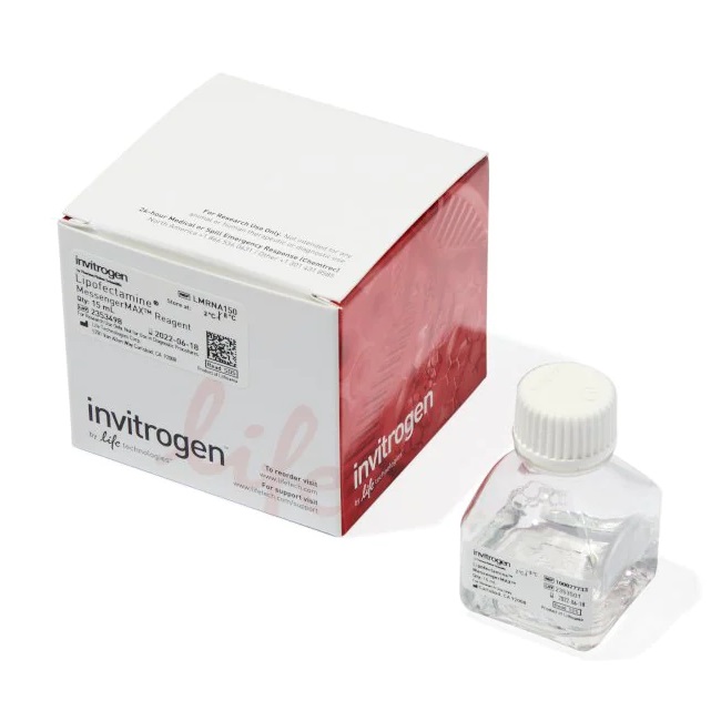 Invitrogen™ Lipofectamine™ MessengerMAX™ Transfection Reagent, 15 mL