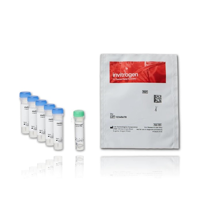 Invitrogen™ FluoReporter™ Cell-Surface Biotinylation Kit