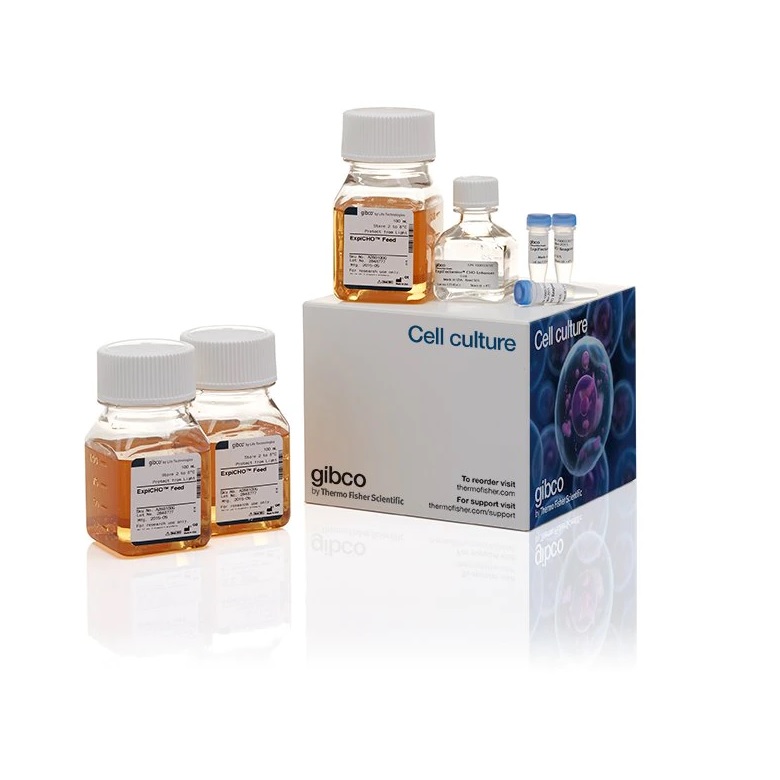 Gibco™ ExpiFectamine™ CHO Transfection Kit, For 1 L of culture