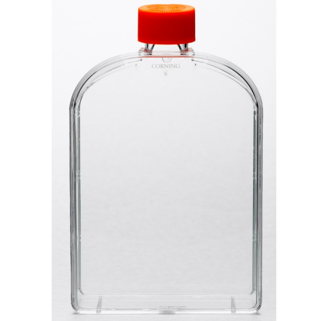 Corning® U-Shaped Angled Neck Cell Culture Flask with Vent Cap, 175cm²