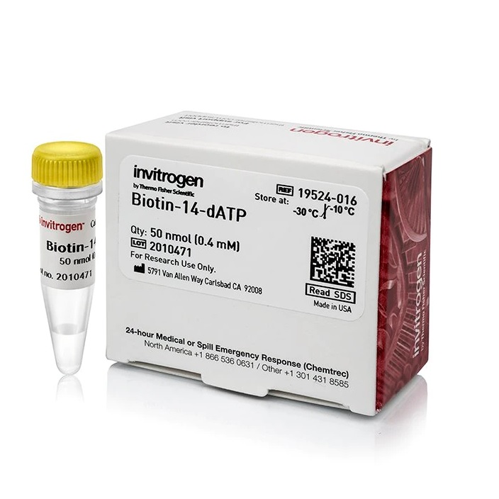Invitrogen™ Biotin-14-dATP
