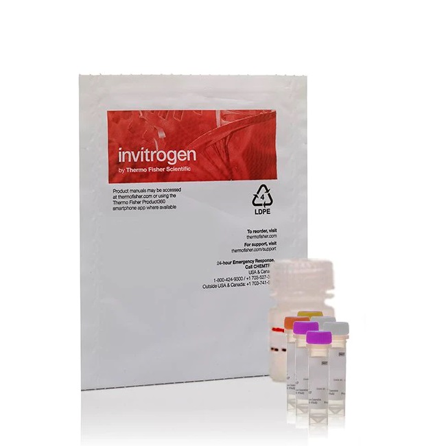 Invitrogen™ EnzChek™ Phospholipase A2 Assay Kit