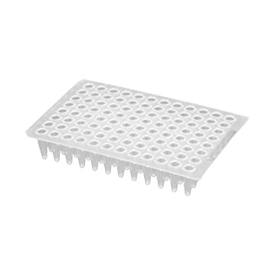 Axygen® 96-well Polypropylene Flat Top PCR Microplate, Low Profile, No Skirt, Clear, Nonsterile