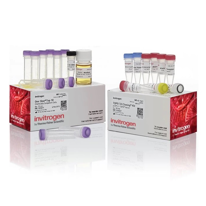 Invitrogen™ TOPO™ TA Cloning™ Kit for Subcloning, with One Shot™ TOP10 chemically competent E. coli cells, 25 Reactions