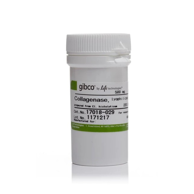 Gibco™ Collagenase, Type I, powder, 500 mg