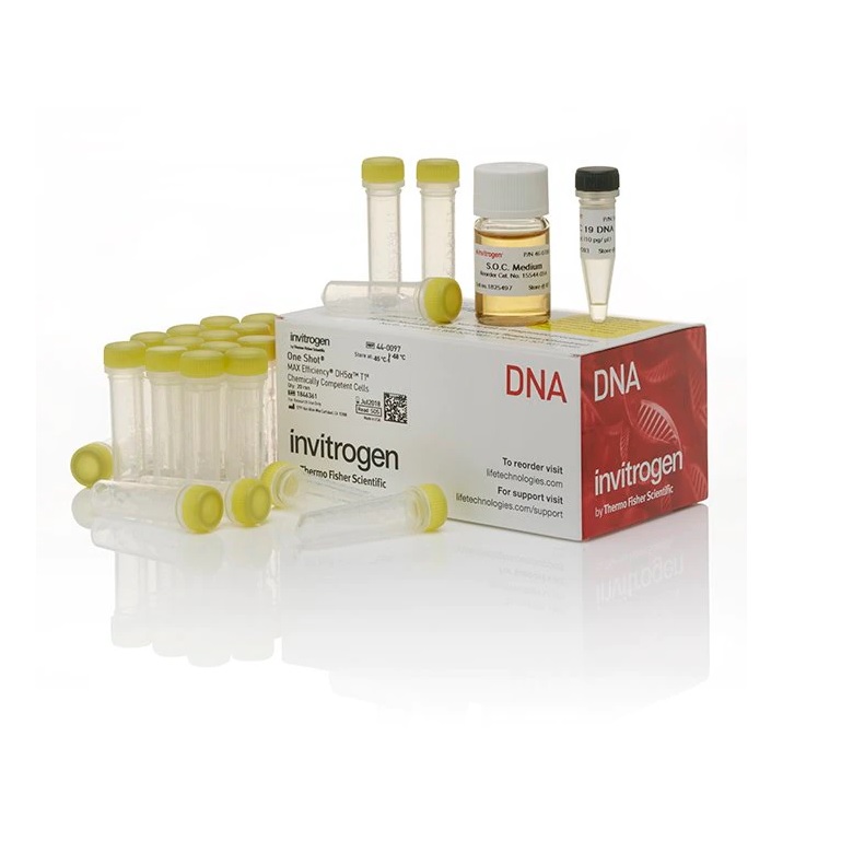 Invitrogen™ One Shot™ MAX Efficiency™ DH5α-T1R Competent Cells