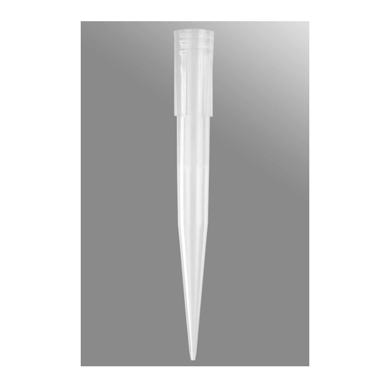 Axygen® 1000 µL Pipet Tips, Beveled, Clear, Nonsterile, Rack Pack
