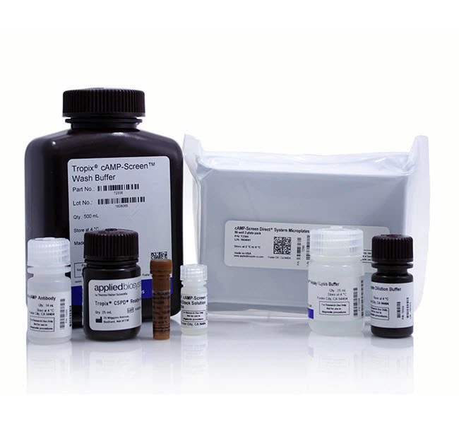 Applied Biosystems™ cAMP-Screen Direct™ Cyclic AMP Immunoassay System, 2 x 96 Tests