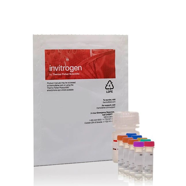 Invitrogen™ Amplex™ Red Uric Acid/Uricase Assay Kit