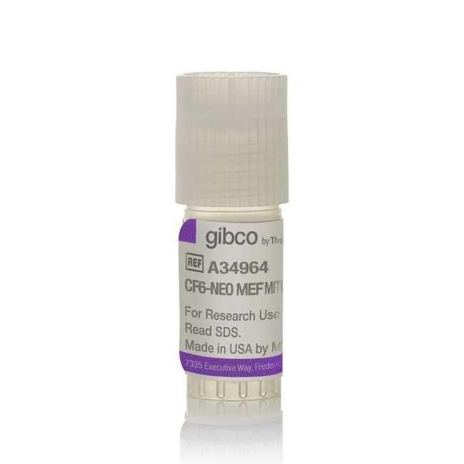 Gibco™ CF6-Neo Mouse Embryonic Fibroblasts, MitC-treated