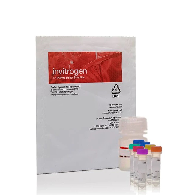 Invitrogen™ Amplex™ Red Galactose/Galactose Oxidase Assay Kit