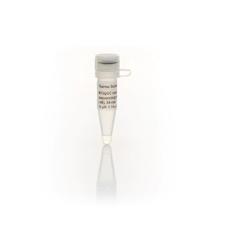 Thermo Scientific™ M13/pUC Reverse Sequencing Primer (-46), 24-mer