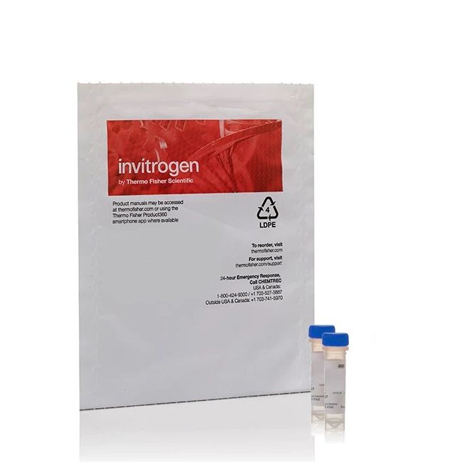 Invitrogen™ LIVE/DEAD™ Reduced Biohazard Cell Viability Kit #1, green & red fluorescence
