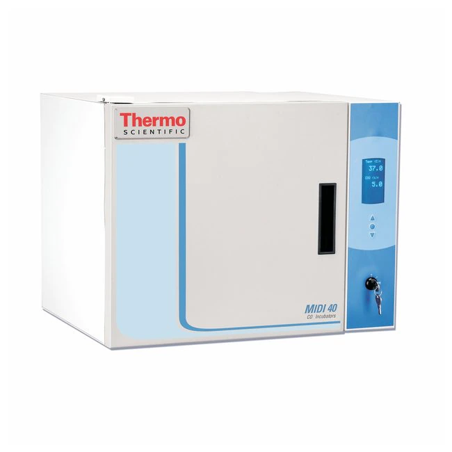 Thermo Scientific™ Midi CO2 Incubator, 40 L, Polished Stainless Steel