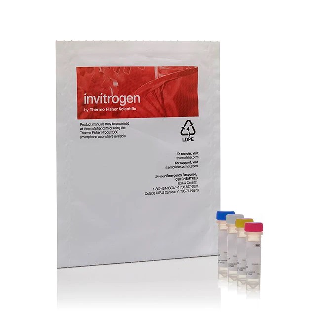 Invitrogen™ Cell Culture Contamination Detection Kit