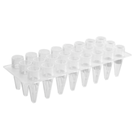 Axygen® 24-well Polypropylene PCR Microplate, Clear, Nonsterile